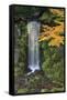 Midoritaki Waterfall, Kenrokuen Garden, Kanazawa, Ishikawa Prefecture, Central Honshu, Japan, Asia-Stuart Black-Framed Stretched Canvas