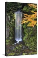 Midoritaki Waterfall, Kenrokuen Garden, Kanazawa, Ishikawa Prefecture, Central Honshu, Japan, Asia-Stuart Black-Stretched Canvas