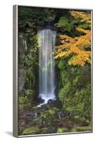 Midoritaki Waterfall, Kenrokuen Garden, Kanazawa, Ishikawa Prefecture, Central Honshu, Japan, Asia-Stuart Black-Framed Photographic Print