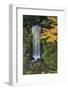 Midoritaki Waterfall, Kenrokuen Garden, Kanazawa, Ishikawa Prefecture, Central Honshu, Japan, Asia-Stuart Black-Framed Photographic Print