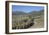 Midshipmen Hiking at the Mountain Warfare Training Center-null-Framed Photographic Print