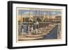 Midshipmen with Sailboats, USNA, Annapolis, Maryland-null-Framed Art Print