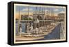 Midshipmen with Sailboats, USNA, Annapolis, Maryland-null-Framed Stretched Canvas