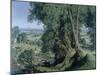 Midsummer, East Fife-James McIntosh Patrick-Mounted Giclee Print