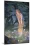 Midsummer Eve, C1871-1914-Edward Robert Hughes-Mounted Premium Giclee Print