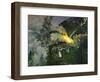 Midsummer fire, 1911 by N Astrup-Nikolai Astrup-Framed Giclee Print