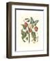 Midsummer Floral I-Vision Studio-Framed Art Print