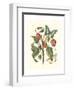 Midsummer Floral I-Vision Studio-Framed Art Print