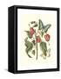 Midsummer Floral I-Vision Studio-Framed Stretched Canvas