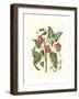 Midsummer Floral I-Vision Studio-Framed Art Print