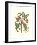 Midsummer Floral I-Vision Studio-Framed Art Print