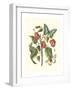 Midsummer Floral I-Vision Studio-Framed Art Print