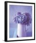 Midsummer I-Bill Philip-Framed Giclee Print