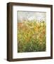 Midsummer Meadow-Jessica Torrant-Framed Giclee Print