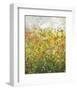 Midsummer Meadow-Jessica Torrant-Framed Giclee Print