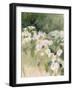 Midsummer Meadow-Katrina Pete-Framed Art Print