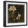 Midsummer Night Bloom I-Douglas-Framed Giclee Print