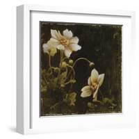 Midsummer Night Bloom I-Douglas-Framed Giclee Print