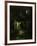 Midsummer Night's Dream-Gustave Doré-Framed Giclee Print