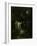 Midsummer Night's Dream-Gustave Doré-Framed Premium Giclee Print