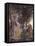 Midsummer Nights Dream-Arthur Rackham-Framed Stretched Canvas