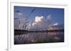 Midsummer Reflections-Phillip Mueller-Framed Giclee Print