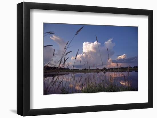 Midsummer Reflections-Phillip Mueller-Framed Art Print