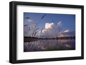 Midsummer Reflections-Phillip Mueller-Framed Art Print