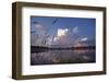 Midsummer Reflections-Phillip Mueller-Framed Art Print