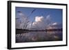 Midsummer Reflections-Phillip Mueller-Framed Art Print