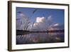 Midsummer Reflections-Phillip Mueller-Framed Art Print