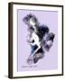 Midsummer s Night Flight-Art and a Little Magic-Framed Giclee Print