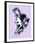 Midsummer s Night Flight-Art and a Little Magic-Framed Giclee Print