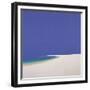 Midsummer, Sandspur, 2002-John Miller-Framed Giclee Print