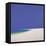 Midsummer, Sandspur, 2002-John Miller-Framed Stretched Canvas