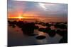 Midsummer sunset over The Wash from the beach at Hunstanton, north Norfolk-Geraint Tellem-Mounted Photographic Print