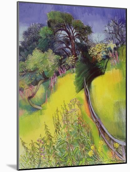 Midsummer-Claire Spencer-Mounted Giclee Print