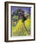 Midsummer-Claire Spencer-Framed Giclee Print