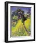 Midsummer-Claire Spencer-Framed Giclee Print