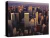 Midtown and Upper Manhattan, NY-Rudi Von Briel-Stretched Canvas