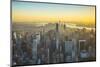 Midtown Manhattan and Lower Manhattan Behind, New York City, New York, USA-Jon Arnold-Mounted Photographic Print