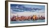 Midtown Manhattan Skyscrapers Reflecting Light at Sunset-Francois Roux-Framed Photographic Print