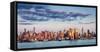 Midtown Manhattan Skyscrapers Reflecting Light at Sunset-Francois Roux-Framed Stretched Canvas
