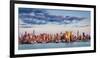 Midtown Manhattan Skyscrapers Reflecting Light at Sunset-Francois Roux-Framed Photographic Print