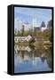 Midtown Skyline from Piedmont Park, Atlanta, Georgia, United States of America, North America-Gavin Hellier-Framed Stretched Canvas