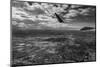 Midway Final Approach B W-Steve Gadomski-Mounted Photographic Print