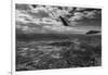 Midway Final Approach B W-Steve Gadomski-Framed Photographic Print