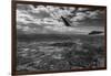 Midway Final Approach B W-Steve Gadomski-Framed Photographic Print