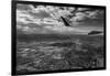 Midway Final Approach B W-Steve Gadomski-Framed Photographic Print