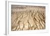 Midway Geyser Basin in Yellowstone National Park-Denton Rumsey-Framed Photographic Print